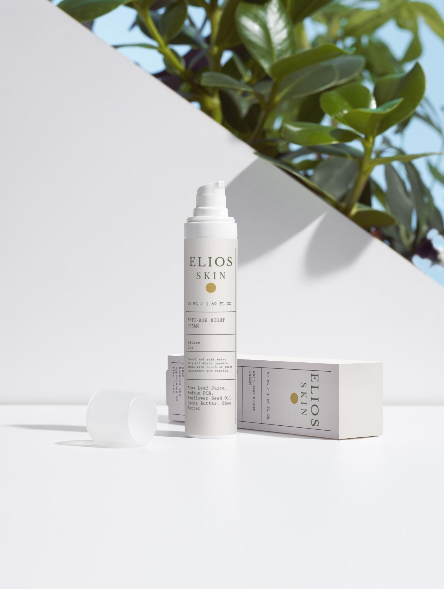 Anti - Aging Night Cream - Elios Skin